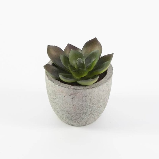 CAMAS - Artificial Succulent Plant in Pulp Pot